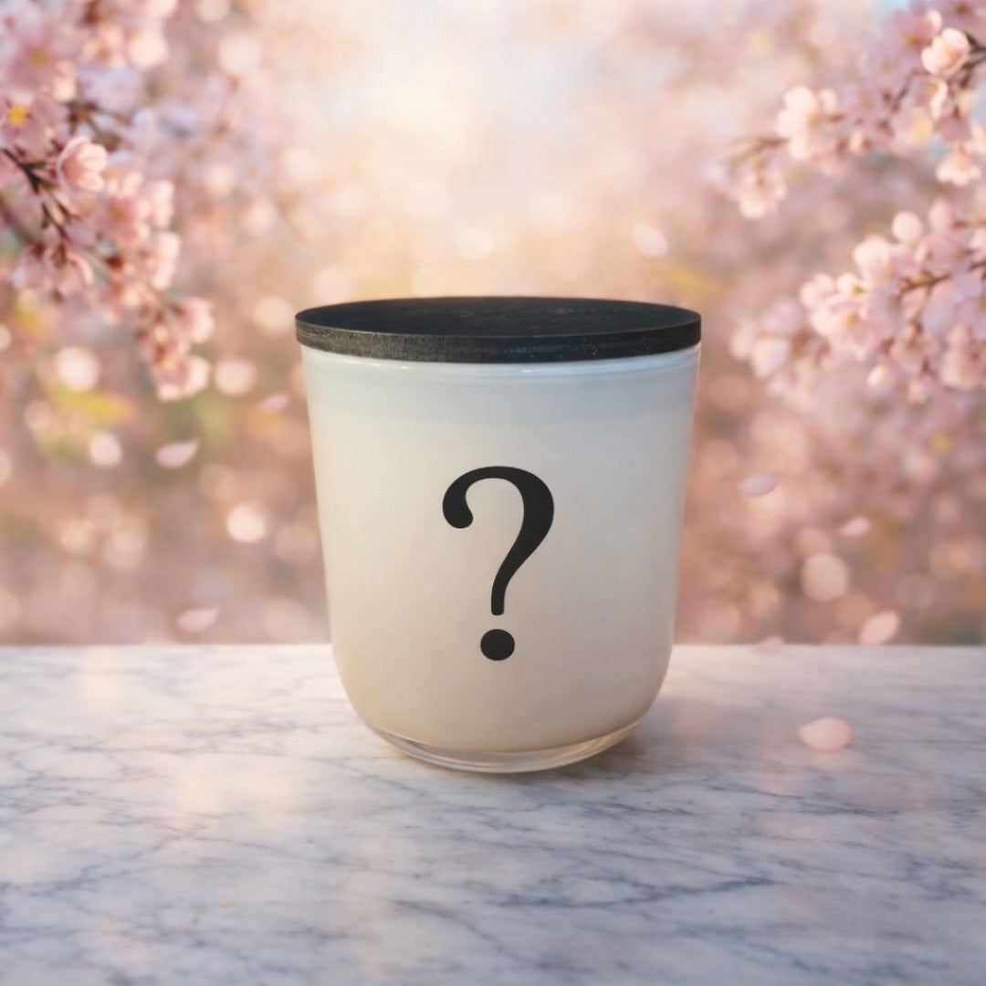 11 oz Soy Candle Mystery Box
