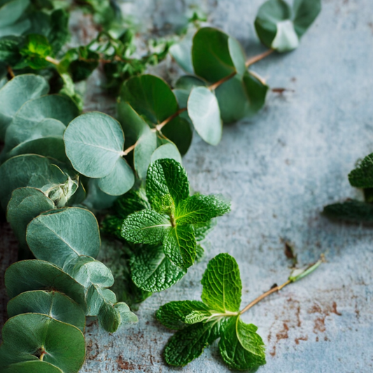 Room, Linen, & Body Spray - Eucalyptus Breeze